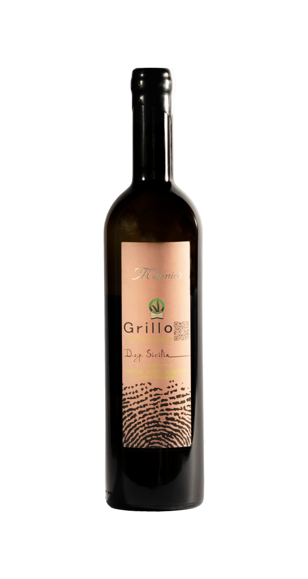 Grillo
