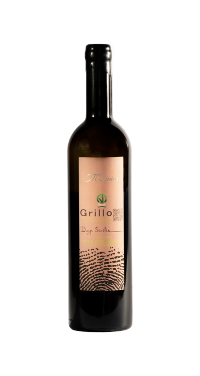 Grillo